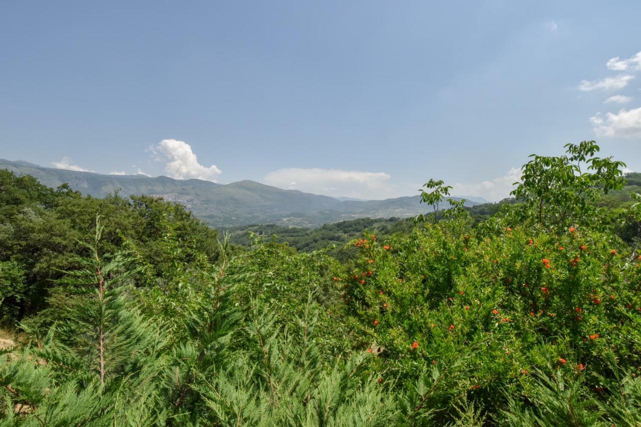 Agriturismo L'Antico Casolare Castelcivita エクステリア 写真